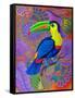 Toucan, 2021, (oil on canvas)-Jane Tattersfield-Framed Stretched Canvas