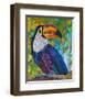 Toucan #2-null-Framed Art Print