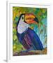 Toucan #2-null-Framed Art Print