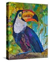 Toucan #2-null-Stretched Canvas