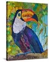 Toucan #2-null-Stretched Canvas