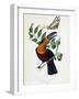 Toucan Ariel on a Muscadier and Butterfly Protesilas - in “” Le Jardin Des Plantes: Complete Histor-Unknown Artist-Framed Giclee Print