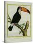 Toucan De Cayenne-Georges-Louis Buffon-Stretched Canvas