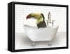 Toucan In Bathtub-Matthew Piotrowicz-Framed Stretched Canvas