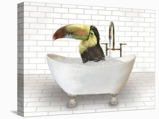 Toucan In Bathtub-Matthew Piotrowicz-Stretched Canvas