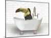 Toucan In Bathtub-Matthew Piotrowicz-Mounted Art Print