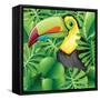 Toucan in the Green Bush Illustration-Daniel Cole-Framed Stretched Canvas