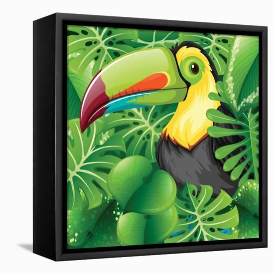 Toucan in the Green Bush Illustration-Daniel Cole-Framed Stretched Canvas