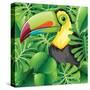 Toucan in the Green Bush Illustration-Daniel Cole-Stretched Canvas