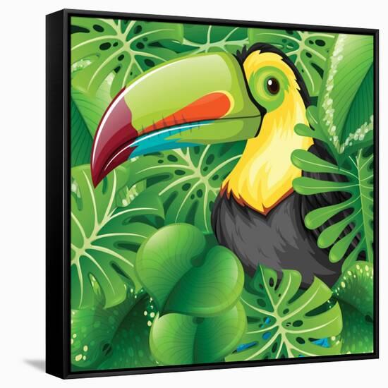 Toucan in the Green Bush Illustration-Daniel Cole-Framed Stretched Canvas