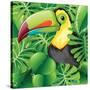 Toucan in the Green Bush Illustration-Daniel Cole-Stretched Canvas