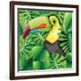 Toucan in the Green Bush Illustration-Daniel Cole-Framed Art Print