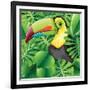 Toucan in the Green Bush Illustration-Daniel Cole-Framed Art Print