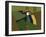 Toucan Luke-Belen Mena-Framed Giclee Print