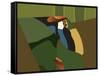 Toucan Luke-Belen Mena-Framed Stretched Canvas