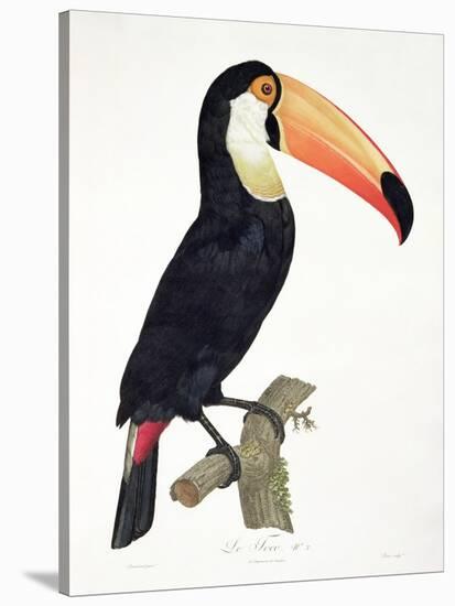 Toucan No.2, History of the Birds of Paradise by Francois Levaillant, Engraved by J.L. Peree-Jacques Barraband-Stretched Canvas