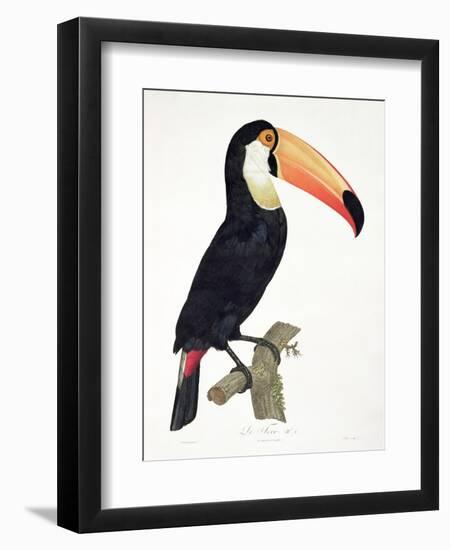 Toucan No.2, History of the Birds of Paradise by Francois Levaillant, Engraved by J.L. Peree-Jacques Barraband-Framed Premium Giclee Print