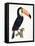 Toucan No.2, History of the Birds of Paradise by Francois Levaillant, Engraved by J.L. Peree-Jacques Barraband-Framed Stretched Canvas