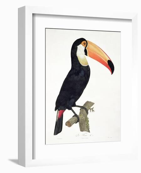 Toucan No.2, History of the Birds of Paradise by Francois Levaillant, Engraved by J.L. Peree-Jacques Barraband-Framed Giclee Print