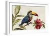 Toucan on Branch-Jacob Q-Framed Art Print