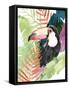 Toucan Palms I-Jennifer Paxton Parker-Framed Stretched Canvas