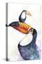 Toucan Play that Game-Marc Allante-Stretched Canvas