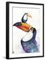 Toucan Play that Game-Marc Allante-Framed Giclee Print