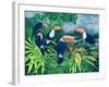 Toucan Talk-Lisa Graa Jensen-Framed Giclee Print