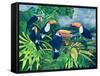 Toucan Talk-Lisa Graa Jensen-Framed Stretched Canvas