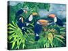 Toucan Talk-Lisa Graa Jensen-Stretched Canvas