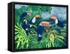 Toucan Talk-Lisa Graa Jensen-Framed Stretched Canvas