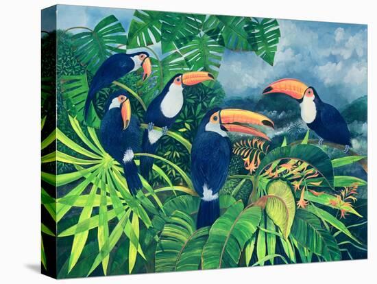 Toucan Talk-Lisa Graa Jensen-Stretched Canvas