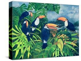 Toucan Talk-Lisa Graa Jensen-Stretched Canvas