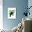 Toucan Tropics - Wild-Clara Wells-Giclee Print displayed on a wall