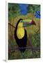 Toucan-John Newcomb-Framed Giclee Print