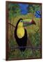 Toucan-John Newcomb-Framed Giclee Print