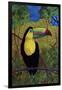 Toucan-John Newcomb-Framed Giclee Print