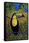 Toucan-John Newcomb-Framed Stretched Canvas