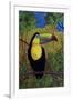 Toucan-John Newcomb-Framed Giclee Print