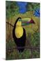 Toucan-John Newcomb-Mounted Giclee Print