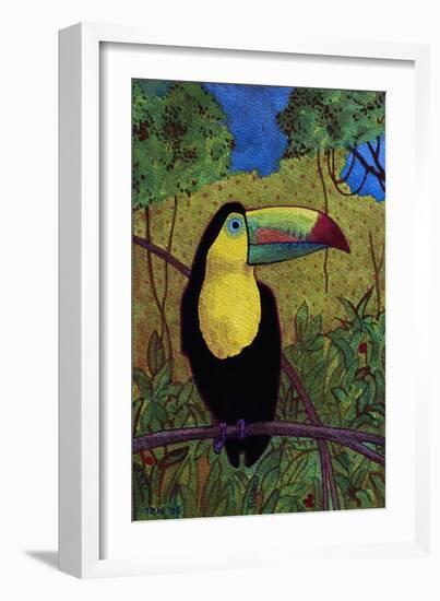 Toucan-John Newcomb-Framed Giclee Print