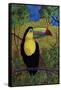 Toucan-John Newcomb-Framed Stretched Canvas