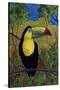 Toucan-John Newcomb-Stretched Canvas