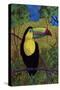 Toucan-John Newcomb-Stretched Canvas