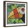 Toucan-Tim Nyberg-Framed Giclee Print