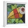 Toucan-Tim Nyberg-Framed Premium Giclee Print