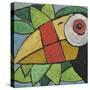 Toucan-Tim Nyberg-Stretched Canvas