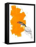 Toucan-Millie Brooks-Framed Stretched Canvas