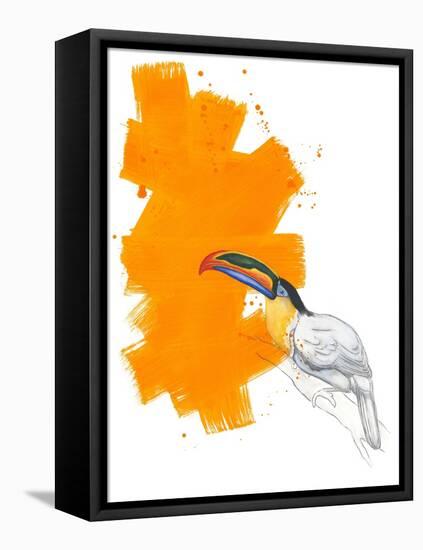 Toucan-Millie Brooks-Framed Stretched Canvas