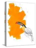 Toucan-Millie Brooks-Stretched Canvas